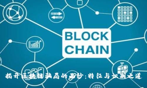 揭开区块链骗局的面纱：特征与识别之道