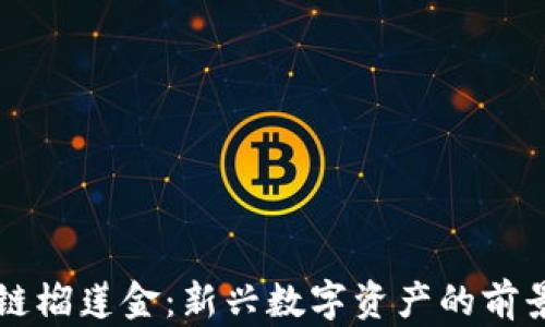 
区块链榴莲金：新兴数字资产的前景解析