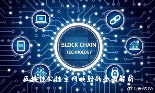 区块链公链主网映射的全面解析