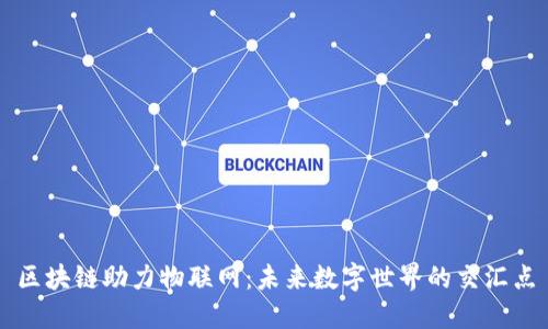 区块链助力物联网：未来数字世界的交汇点