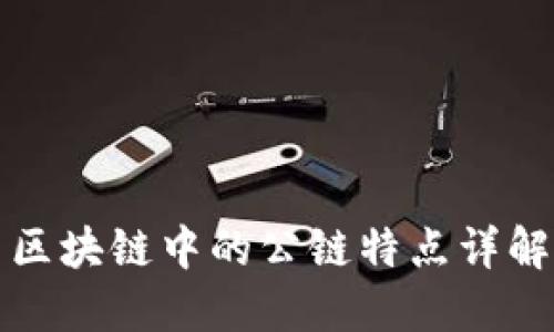区块链中的公链特点详解