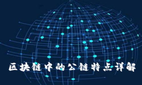 区块链中的公链特点详解